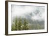 USA, Washington, Mount Rainier NP. Landscape of Fog in Forest-Jaynes Gallery-Framed Photographic Print