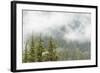 USA, Washington, Mount Rainier NP. Landscape of Fog in Forest-Jaynes Gallery-Framed Photographic Print