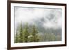 USA, Washington, Mount Rainier NP. Landscape of Fog in Forest-Jaynes Gallery-Framed Photographic Print