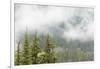 USA, Washington, Mount Rainier NP. Landscape of Fog in Forest-Jaynes Gallery-Framed Photographic Print