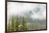 USA, Washington, Mount Rainier NP. Landscape of Fog in Forest-Jaynes Gallery-Framed Photographic Print