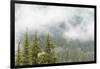 USA, Washington, Mount Rainier NP. Landscape of Fog in Forest-Jaynes Gallery-Framed Photographic Print