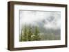 USA, Washington, Mount Rainier NP. Landscape of Fog in Forest-Jaynes Gallery-Framed Photographic Print