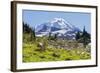 USA, Washington, Mount Rainier NP, Mount Rainier.-Jamie & Judy Wild-Framed Photographic Print