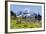 USA, Washington, Mount Rainier NP, Mount Rainier.-Jamie & Judy Wild-Framed Photographic Print