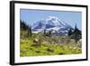 USA, Washington, Mount Rainier NP, Mount Rainier.-Jamie & Judy Wild-Framed Photographic Print