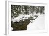 USA, Washington, Mt Baker Snoqualmie, South Fork Snoqualmie River.-Jamie & Judy Wild-Framed Photographic Print