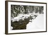 USA, Washington, Mt Baker Snoqualmie, South Fork Snoqualmie River.-Jamie & Judy Wild-Framed Photographic Print