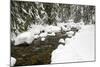 USA, Washington, Mt Baker Snoqualmie, South Fork Snoqualmie River.-Jamie & Judy Wild-Mounted Photographic Print