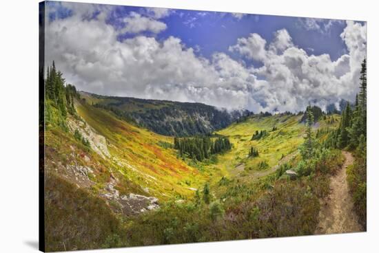 USA, Washington, Mt. Rainier National Park. Stevens Creek Valley as seen from the Skyline Trial.-Christopher Reed-Stretched Canvas