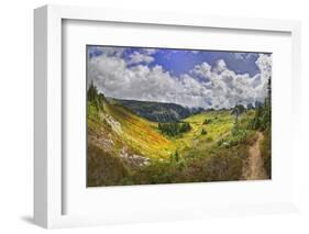 USA, Washington, Mt. Rainier National Park. Stevens Creek Valley as seen from the Skyline Trial.-Christopher Reed-Framed Photographic Print