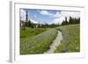 USA, Washington, Mt Rainier NP, Trail through a meadow of wildflowers.-Jamie & Judy Wild-Framed Photographic Print