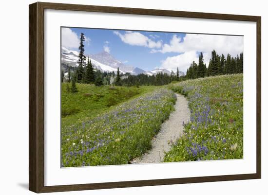 USA, Washington, Mt Rainier NP, Trail through a meadow of wildflowers.-Jamie & Judy Wild-Framed Photographic Print