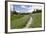 USA, Washington, Mt Rainier NP, Trail through a meadow of wildflowers.-Jamie & Judy Wild-Framed Photographic Print