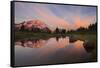 USA, Washington. Mt. Rainier Reflecting in a Tarn in Spray Park-Gary Luhm-Framed Stretched Canvas