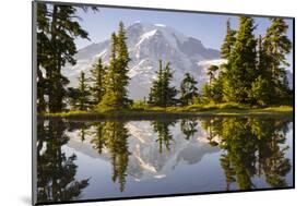 USA, Washington. Mt. Rainier Reflecting in a Tarn Near Plummer Peak-Gary Luhm-Mounted Photographic Print