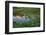 USA, Washington. Mt. Rainier Reflecting in a Tarn Near Pyramid Peak-Gary Luhm-Framed Photographic Print