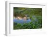 USA, Washington. Mt. Rainier Reflecting in a Tarn Near Pyramid Peak-Gary Luhm-Framed Photographic Print