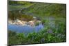 USA, Washington. Mt. Rainier Reflecting in a Tarn Near Pyramid Peak-Gary Luhm-Mounted Photographic Print