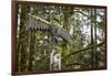 USA, Washington, Olalla. Totem Pole in Forest Setting-Jaynes Gallery-Framed Photographic Print