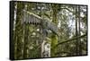 USA, Washington, Olalla. Totem Pole in Forest Setting-Jaynes Gallery-Framed Stretched Canvas