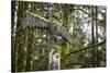 USA, Washington, Olalla. Totem Pole in Forest Setting-Jaynes Gallery-Stretched Canvas