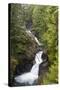 USA, Washington, Olallie SP, Twin Falls on the Snoqualmie River.-Jamie & Judy Wild-Stretched Canvas