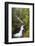 USA, Washington, Olallie SP, Twin Falls on the Snoqualmie River.-Jamie & Judy Wild-Framed Photographic Print