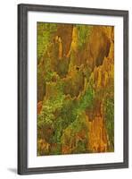 USA, Washington, Olympic National Park. Hemlock Tree Bark with Moss-Jaynes Gallery-Framed Photographic Print