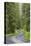 USA, Washington, Olympic Sol Duc River Road Through Forest-Jaynes Gallery-Stretched Canvas