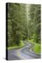 USA, Washington, Olympic Sol Duc River Road Through Forest-Jaynes Gallery-Stretched Canvas