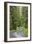 USA, Washington, Olympic Sol Duc River Road Through Forest-Jaynes Gallery-Framed Photographic Print
