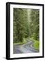 USA, Washington, Olympic Sol Duc River Road Through Forest-Jaynes Gallery-Framed Photographic Print