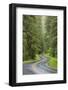 USA, Washington, Olympic Sol Duc River Road Through Forest-Jaynes Gallery-Framed Photographic Print