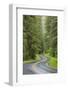 USA, Washington, Olympic Sol Duc River Road Through Forest-Jaynes Gallery-Framed Photographic Print