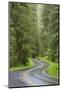 USA, Washington, Olympic Sol Duc River Road Through Forest-Jaynes Gallery-Mounted Photographic Print