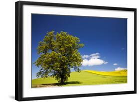 USA, Washington, Palouse. a Lone Tree Surrounded by Hills of Wheat-Terry Eggers-Framed Photographic Print