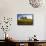 USA, Washington, Palouse. a Lone Tree Surrounded by Hills of Wheat-Terry Eggers-Framed Stretched Canvas displayed on a wall