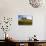 USA, Washington, Palouse. a Lone Tree Surrounded by Hills of Wheat-Terry Eggers-Stretched Canvas displayed on a wall