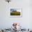 USA, Washington, Palouse. a Lone Tree Surrounded by Hills of Wheat-Terry Eggers-Framed Photographic Print displayed on a wall