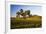 USA, Washington, Palouse. a Lone Tree Surrounded by Hills of Wheat-Terry Eggers-Framed Photographic Print