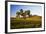 USA, Washington, Palouse. a Lone Tree Surrounded by Hills of Wheat-Terry Eggers-Framed Photographic Print