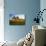 USA, Washington, Palouse. a Lone Tree Surrounded by Hills of Wheat-Terry Eggers-Mounted Photographic Print displayed on a wall