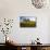 USA, Washington, Palouse. a Lone Tree Surrounded by Hills of Wheat-Terry Eggers-Mounted Photographic Print displayed on a wall