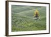 USA, Washington, Palouse. a Lone Tree Surrounded by Hills of Wheat-Terry Eggers-Framed Photographic Print