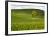 USA, Washington, Palouse. a Lone Tree Surrounded by Hills of Wheat-Terry Eggers-Framed Photographic Print