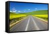 USA, Washington, Palouse. Backcountry Road Through Canola Fields-Terry Eggers-Framed Stretched Canvas