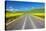 USA, Washington, Palouse. Backcountry Road Through Canola Fields-Terry Eggers-Stretched Canvas