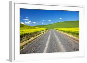 USA, Washington, Palouse. Backcountry Road Through Canola Fields-Terry Eggers-Framed Photographic Print