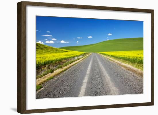 USA, Washington, Palouse. Backcountry Road Through Canola Fields-Terry Eggers-Framed Photographic Print